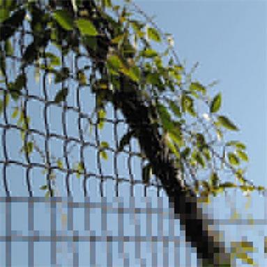 Chain Link Fencing